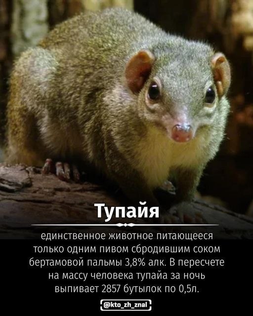 �� ����� ������! - 5 ���� 2026 � 21:06