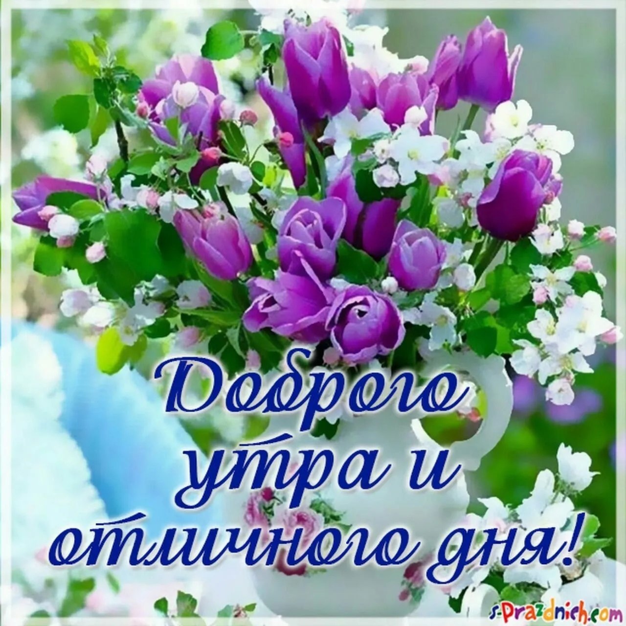 ***Victoria Viktorovna*** - 4  2025  04:52
