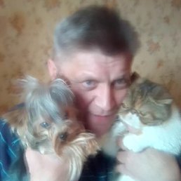 �������, ������, 60 ���