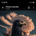 ���� �������, ����-���, 37 ��� - ��������� 9 ������ 2025 � ������ ���� ����������