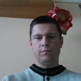 , 33, 