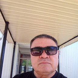 , 61, 