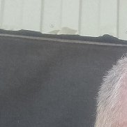 , 59 , 