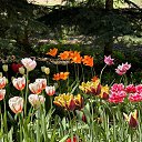  , , 50  -  19  2024   _2024