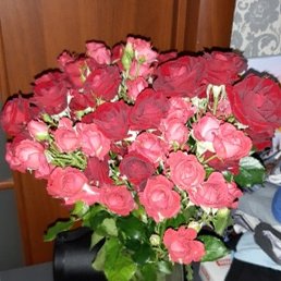 ���������, �����, 38 ���