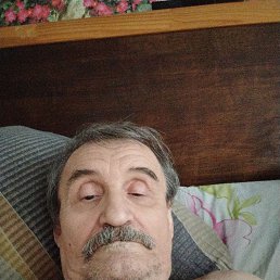 , 66, 