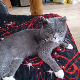 ���� ������, ������, 48 ��� - ��������� 8 ������� 2026