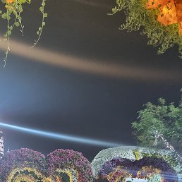 ���� Inna, ������, 46 ��� - ��������� 19 ������ 2025