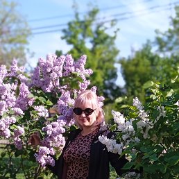 , 30, 