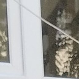 �����, �����������, 62 ����