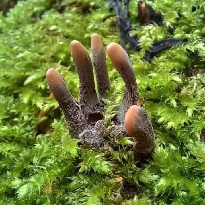    ,      ,  ,   ...