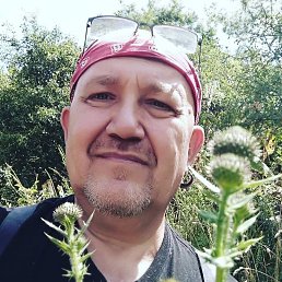 ���� ����, ������, 49 ��� - ��������� 19 ������ 2026