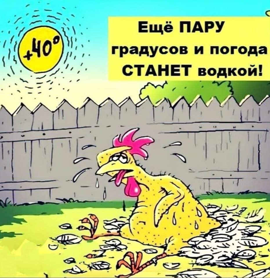   - 11  2024  01:27