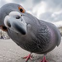 ���� �����, ������, 42 ���� - ��������� 3 ������� 2026 � ������ ������ ��������