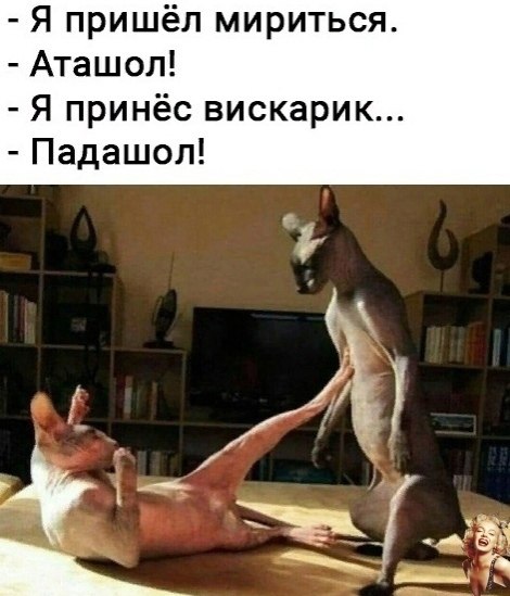 eao!