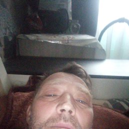 , 53 , 