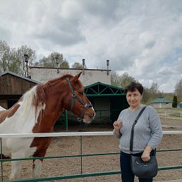 , 65, 