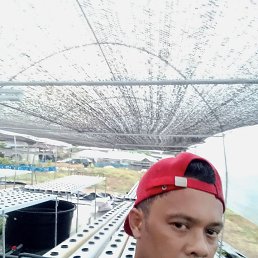 Is din, 39, -