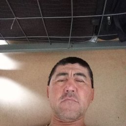 , 46, 