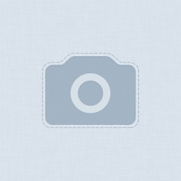 �����, ������, 41 ���