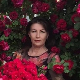 , 53, 