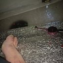 ���� ����, �����, 46 ��� - ��������� 24 ������ 2024 � ������ ���� ����������