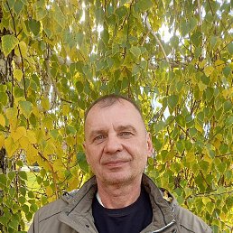 , 55, 