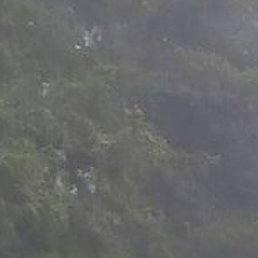 ������, �����������, 62 ����