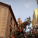���� Vika, ���� - ��������� 19 ������ 2026 � ������ ������ ��������, �������.�