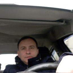 ���� �������, �����������, 41 ��� - ��������� 15 ������� 2025