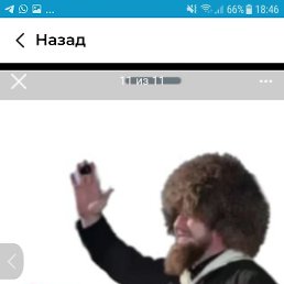 �����, �������, 56 ���