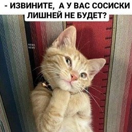 ���� ���������, ������, 57 ��� - ��������� 29 ������� 2023