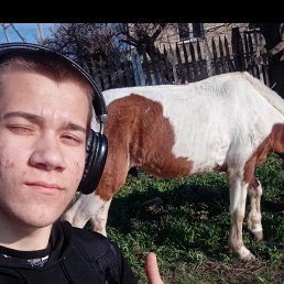 ˸, 17, 