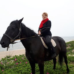 ���� ������, �����������, 62 ���� - ��������� 14 ������� 2026