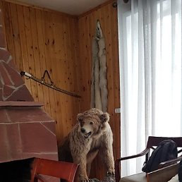 �����, ����-�����������, 49 ���