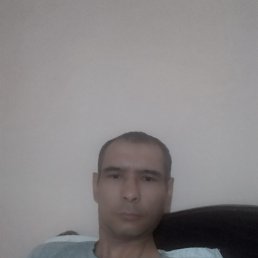, 41, 