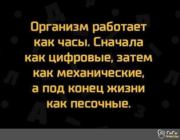 ☆ ☆ - 3  2024  04:28