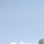 , 55 , 