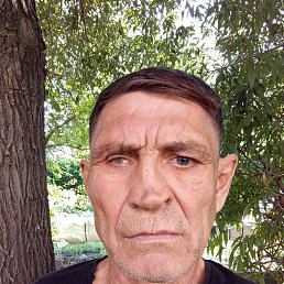 , 59, 
