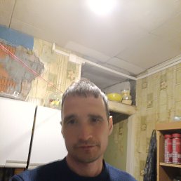 , 37, 