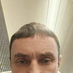 �����, 49 ���, ��������