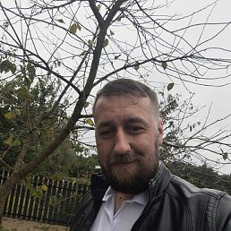 , 33, 