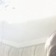 , 41 , -