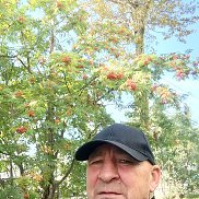 , 50 , 