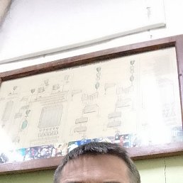 ����������, 38 ���, ����