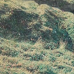 ������, ������, 38 ���