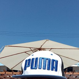 �������, ����, 55 ���