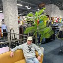 ���� ������, ����, 58 ��� - ��������� 15 ������ 2026 � ������ ���� ����������