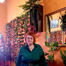 ���� �����, �����-���������, 57 ��� - ��������� 31 ����� 2026