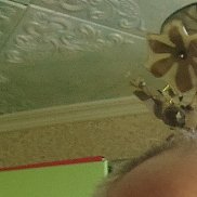 , 46 , 